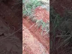 00,8 τόνων Μίνι σκάφτης μικρού μεγέθους