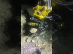 Αγκάλιαση ξύλου